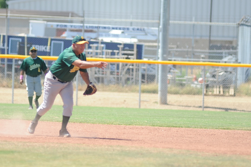 Seals_2019-08-25 (271).JPG - (c)2010 DeVetter